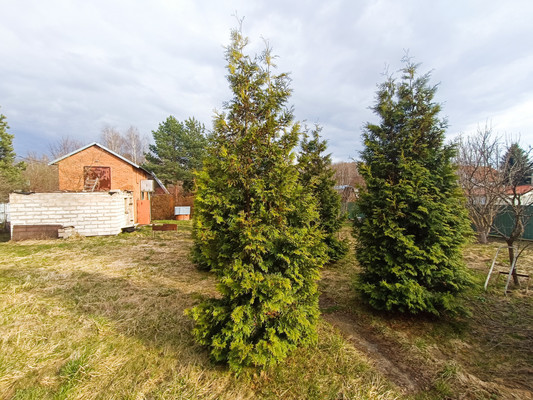 Продам дом, 37, Шахово д, 0 км от города