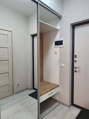 Сдам однокомнатную (1-комн.) квартиру, Арцеуловская аллея, 19к1, Санкт-Петербург г