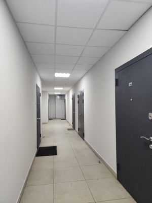 Сдам однокомнатную (1-комн.) квартиру, Арцеуловская аллея, 19к1, Санкт-Петербург г