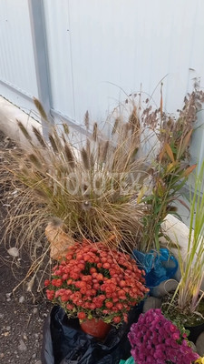 Продам дом, Лунная ул, 23, Апшеронск г, 0 км от города