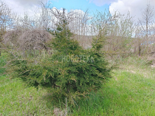 Продам участок 7,5 соток, ИЖС, Степная ул, 46, Азовская ст-ца, 0 км от города