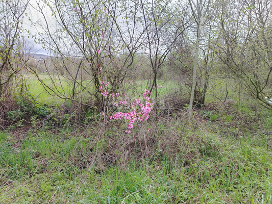 Продам участок 7,5 соток, ИЖС, Степная ул, 46, Азовская ст-ца, 0 км от города