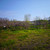 Продам участок 20 соток, ИЖС, 69 км м, Фокино г, 0 км от города