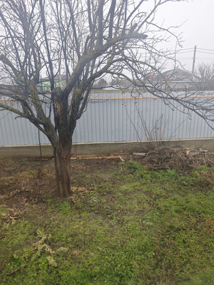 Продам дом, Садовая ул, Цибанобалка с, 0 км от города