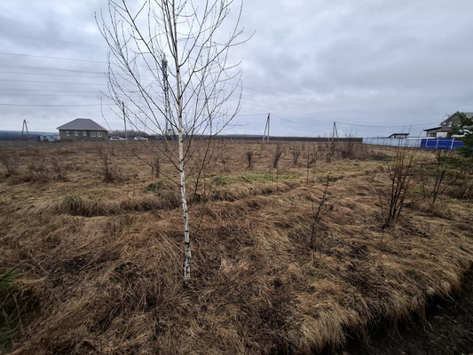 Продам участок 12,1 соток, ИЖС, Лесная ул, Жуково с, 0 км от города