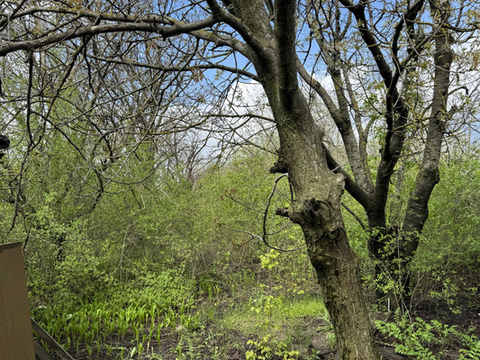 Продам участок 8,59 соток, Фермерское хоз., 5-й Касательный пер, Ростов-на-Дону г, 0 км от города