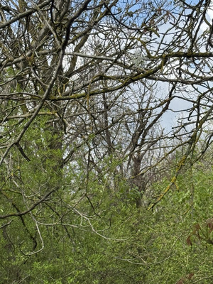 Продам участок 8,59 соток, Фермерское хоз., 5-й Касательный пер, Ростов-на-Дону г, 0 км от города