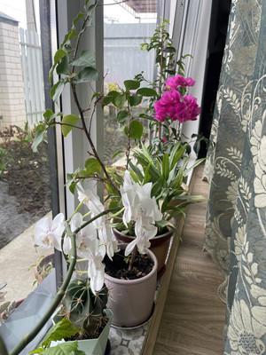 Продам дом, Крайняя ул, 17, Нижняя Гостагайка х, 0 км от города