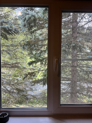 Продам дом, 461, Толмачево д, 0 км от города