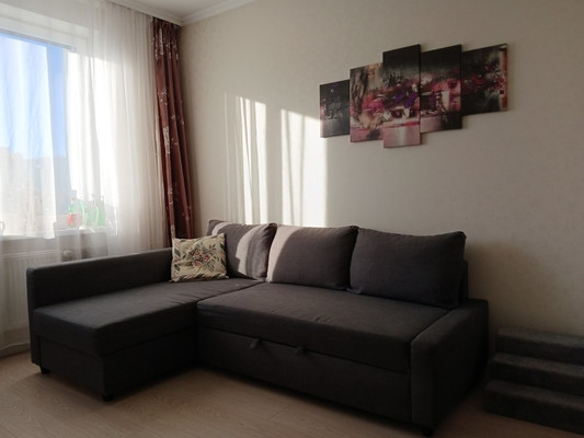 Продам однокомнатную (1-комн.) квартиру, Екатерининская ул, 22к1, Мурино п