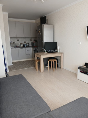 Продам однокомнатную (1-комн.) квартиру, Екатерининская ул, 22к1, Мурино п