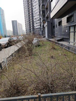 Продам однокомнатную (1-комн.) квартиру, Екатерининская ул, 22к1, Мурино п