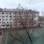 Продам однокомнатную (1-комн.) квартиру, Гудованцева ул, 45, Казань г
