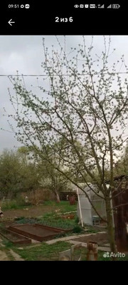 Продам дачу, Ситниковская ул, 75а, Рязань г, 0 км от города