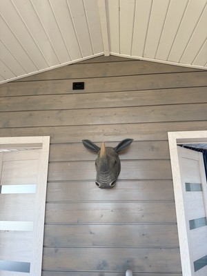 Продам коттедж, Ойнелово тер, Верхние Осельки массив, 0 км от города