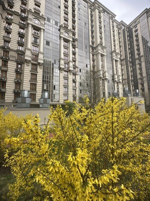 Продам двухкомнатную (2-комн.) квартиру, Измайловский проезд, 10к4, Москва г