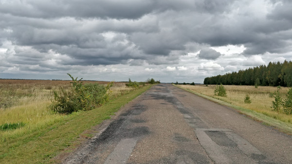 Продам участок 20 соток, ИЖС, Инся с, 0 км от города