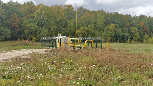 Продам участок 20 соток, ИЖС, Инся с, 0 км от города