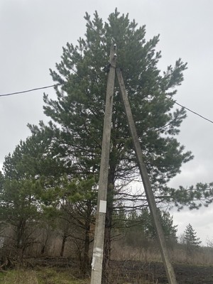 Продам участок 12 соток, Фермерское хоз., 87, Нива снт, 0 км от города