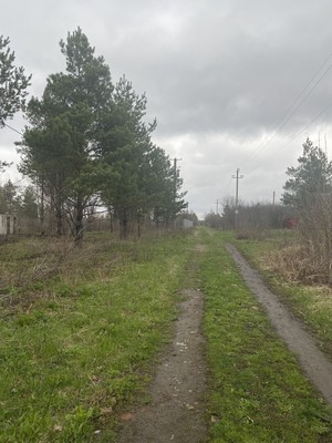 Продам участок 12 соток, Фермерское хоз., 87, Нива снт, 0 км от города