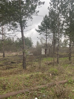 Продам участок 12 соток, Фермерское хоз., 87, Нива снт, 0 км от города