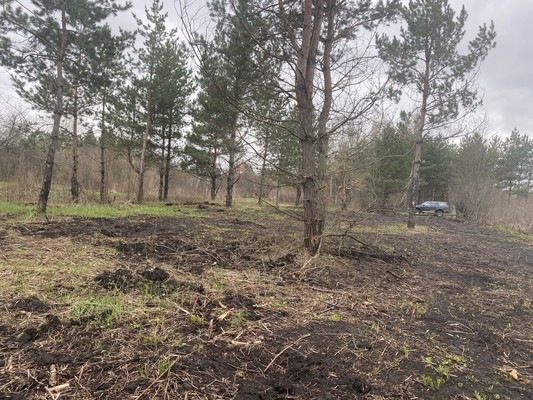 Продам участок 12 соток, Фермерское хоз., 87, Нива снт, 0 км от города