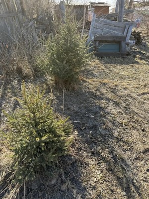 Продам дачу, Первая (Юность тер. ТСН) ул, 31, Шелехов г, 0 км от города