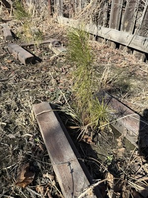 Продам дачу, Первая (Юность тер. ТСН) ул, 31, Шелехов г, 0 км от города