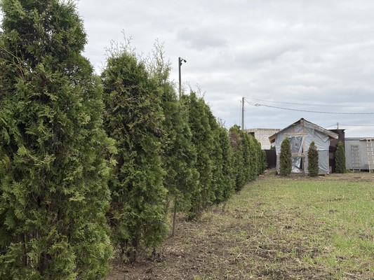 Продам участок 17,81 соток, ИЖС, Вертячево д, 0 км от города