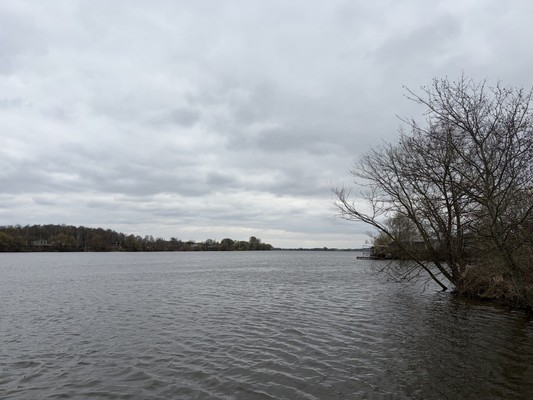 Продам участок 17,81 соток, ИЖС, Вертячево д, 0 км от города