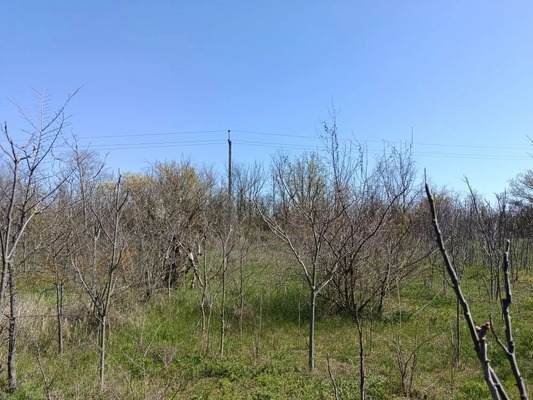 Продам участок 9,57 соток, Фермерское хоз., Константиновка с, 0 км от города