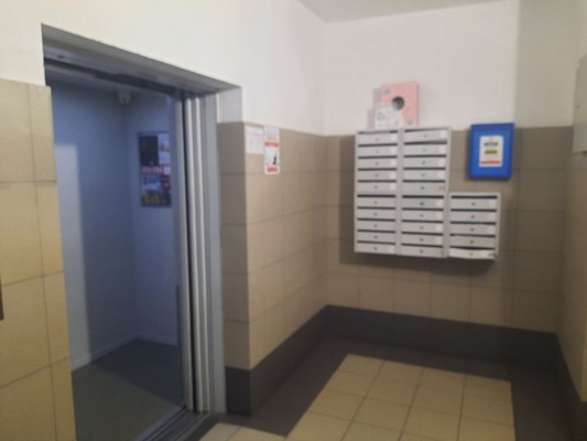 Сдам однокомнатную (1-комн.) квартиру, Александра Невского ул, 19, Иркутск г