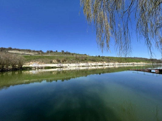 Продам дом, Центральная ул, Клиновка с, 0 км от города