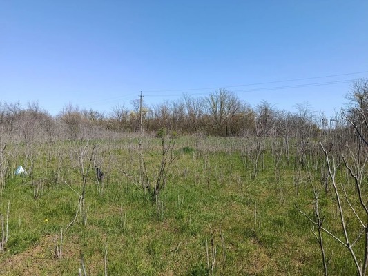 Продам участок 9,7 соток, Фермерское хоз., Константиновка с, 0 км от города