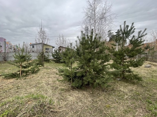 Продам участок 11 соток, Фермерское хоз., Речная ул, Марусино д, 0 км от города