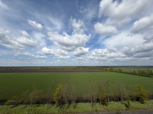Сдам однокомнатную (1-комн.) квартиру, им. Ивана Беличенко ул, 90к2, Краснодар г