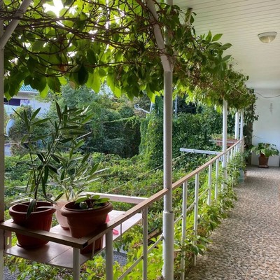 Продам дом, Дачный пер, 4, Курортное пгт, 0 км от города