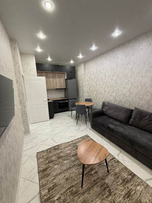 Продам однокомнатную (1-комн.) квартиру, Мирная ул, 29, Анапа г