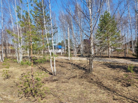 Продам участок 16 соток, ИЖС, Худынино д, 0 км от города