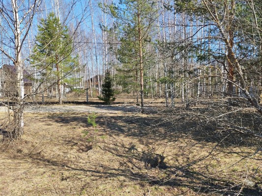 Продам участок 16 соток, ИЖС, Худынино д, 0 км от города