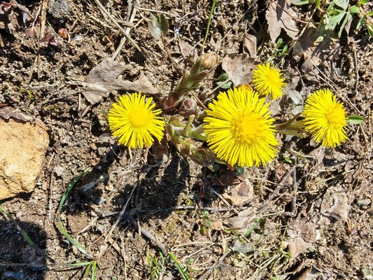 Продам участок 16 соток, ИЖС, Худынино д, 0 км от города