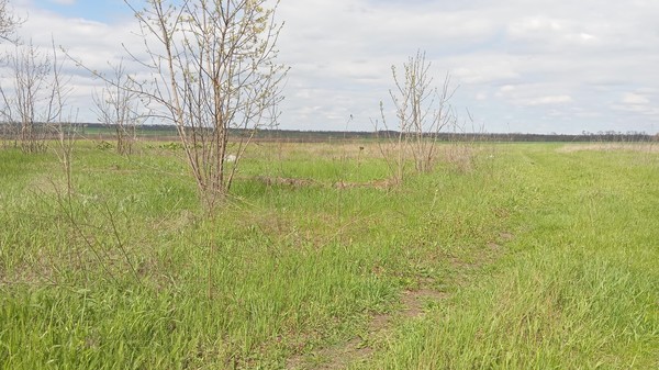 Продам участок 25 соток, ИЖС, Армавирская ул, 16, Высокий п, 0 км от города