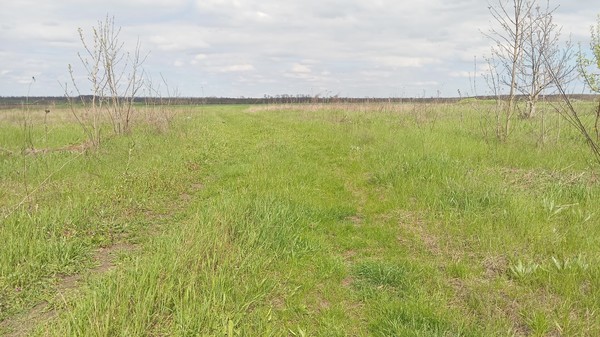 Продам участок 25 соток, ИЖС, Армавирская ул, 16, Высокий п, 0 км от города