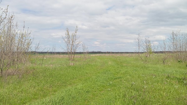 Продам участок 25 соток, ИЖС, Армавирская ул, 16, Высокий п, 0 км от города