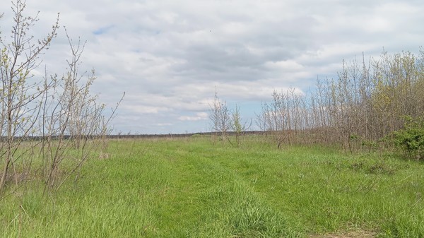 Продам участок 25 соток, ИЖС, Армавирская ул, 16, Высокий п, 0 км от города