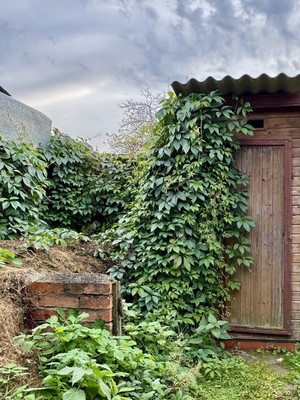 Продам дачу, Пласкинино д, 0 км от города