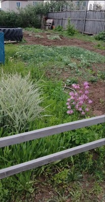 Продам участок 10 соток, ИЖС, Сибирская ул, Яровое г, 0 км от города