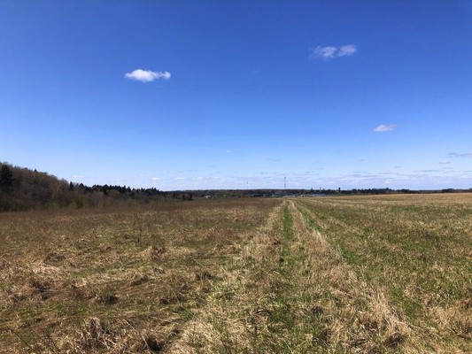 Продам участок 5,36 соток, ИЖС, Воронино д, 0 км от города