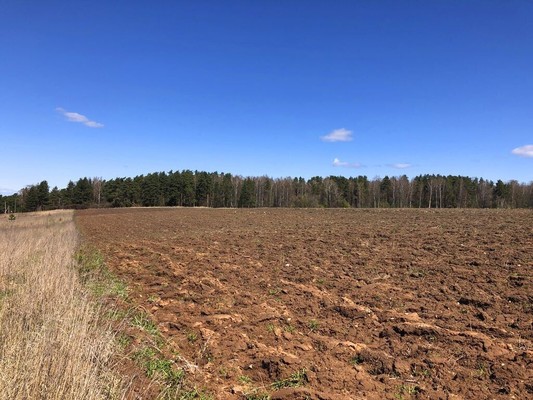 Продам участок 467 соток, ИЖС, Воронино д, 0 км от города