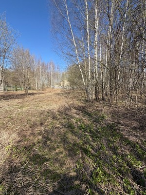 Продам участок 22 соток, ИЖС, Васькино д, 0 км от города